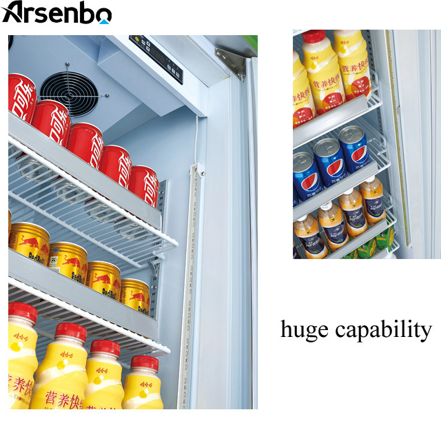 110V 60Hz Commercial Cold Drink Fridge , Luster Plate Retail Beverage Refrigerator